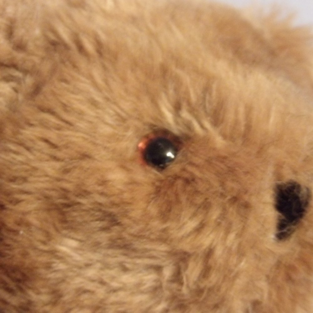 Authentic Vermont 2012 No 1 Honey Bear - Picture 4 of 8